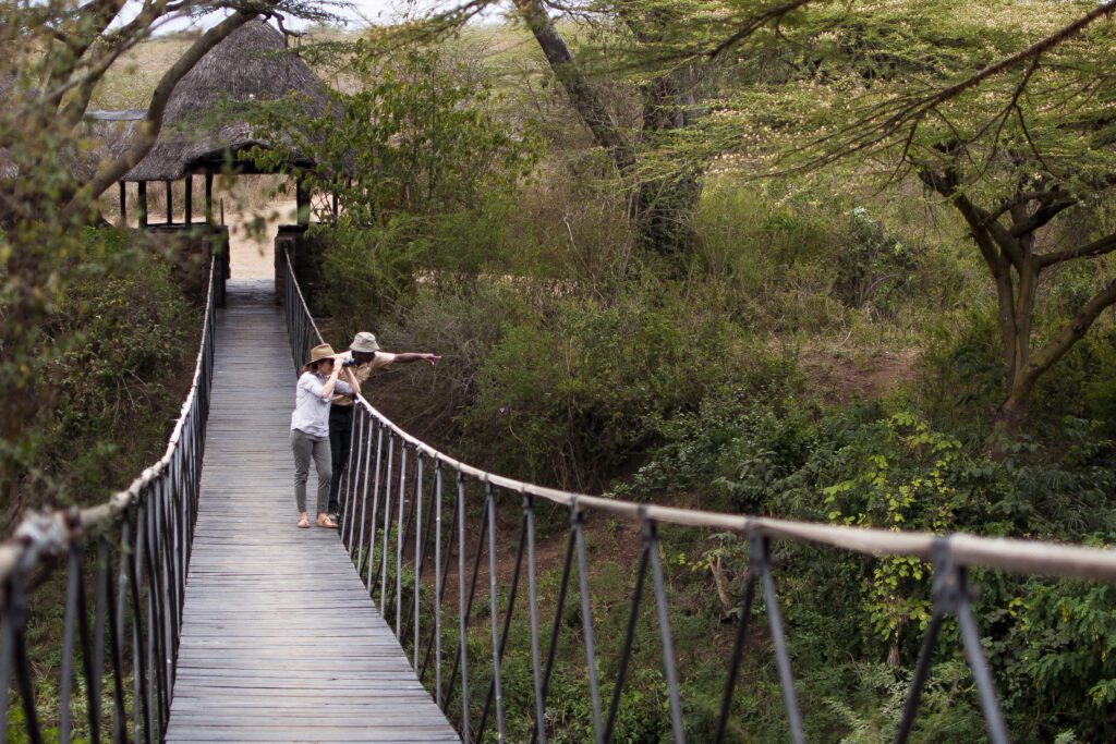 Ololo Lodge Swing Bridge 01 Ololo lodge