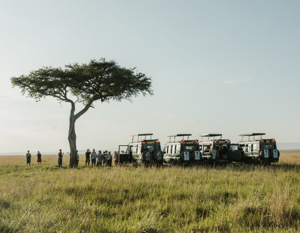 624574359 18071760881570833 6498489547822852890 n Group Safaris